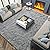 Soft Modern Indoor Large Shaggy Rug for Livingroom Bedroom Dorm Kids Room Home Decorative, Non-Slip Plush Fluffy Furry Fur Area Rugs Comfy Nursery Accent Floor Carpet 6x9 Feet, Grey