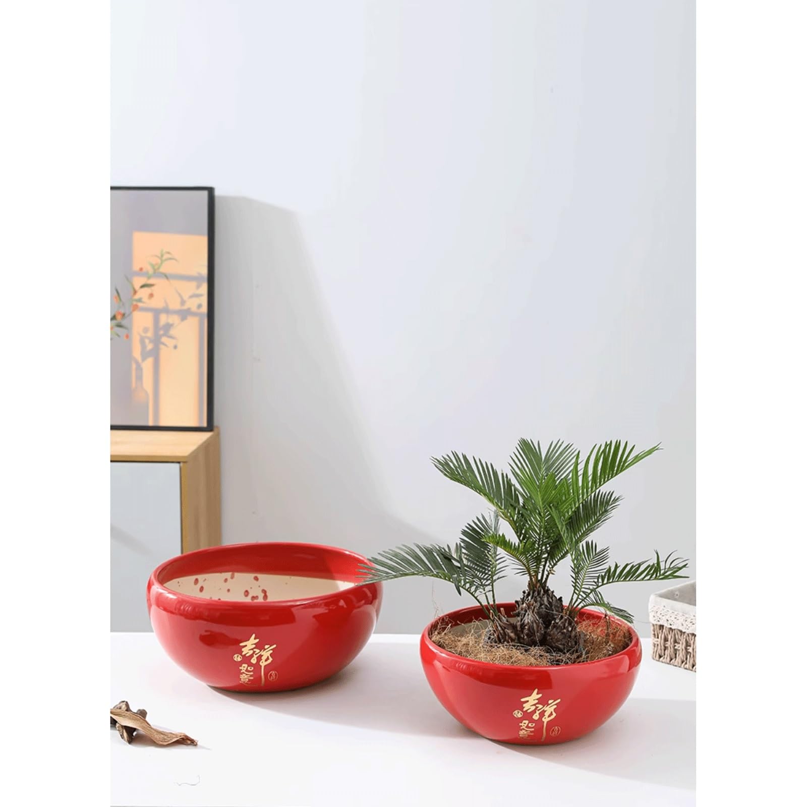 Dekoracyjna ceramiczna doniczka wewnętrzna z otworami drenażowymi i spodkiem z tworzywa sztucznego, okrągła, duża, płaska, na sukulenty, glazurowana ceramiczna doniczka na kwiaty na storczyki na