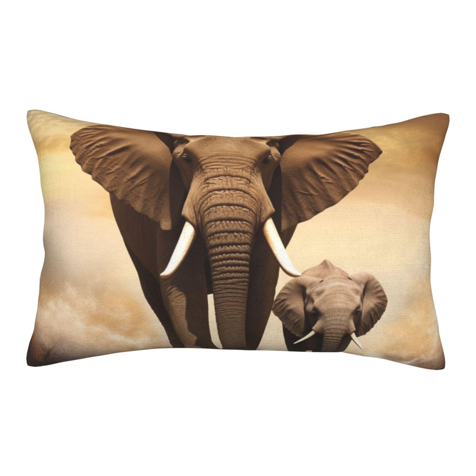 Velvet Pillowcases 16"x24" Ultra Soft Breathable Pillow Cases, Luxury Fuzzy Throw Pillow Covers with Zipper, Elephant Pillow Shams All Seasons Decorative Cushion Cases for Couch