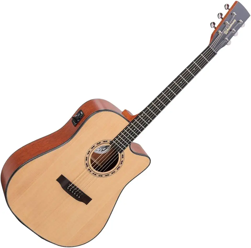 Violão Eletro-Acústico Waldman Tampo Sólido DCEX-1141 Natural Aço Com Bag