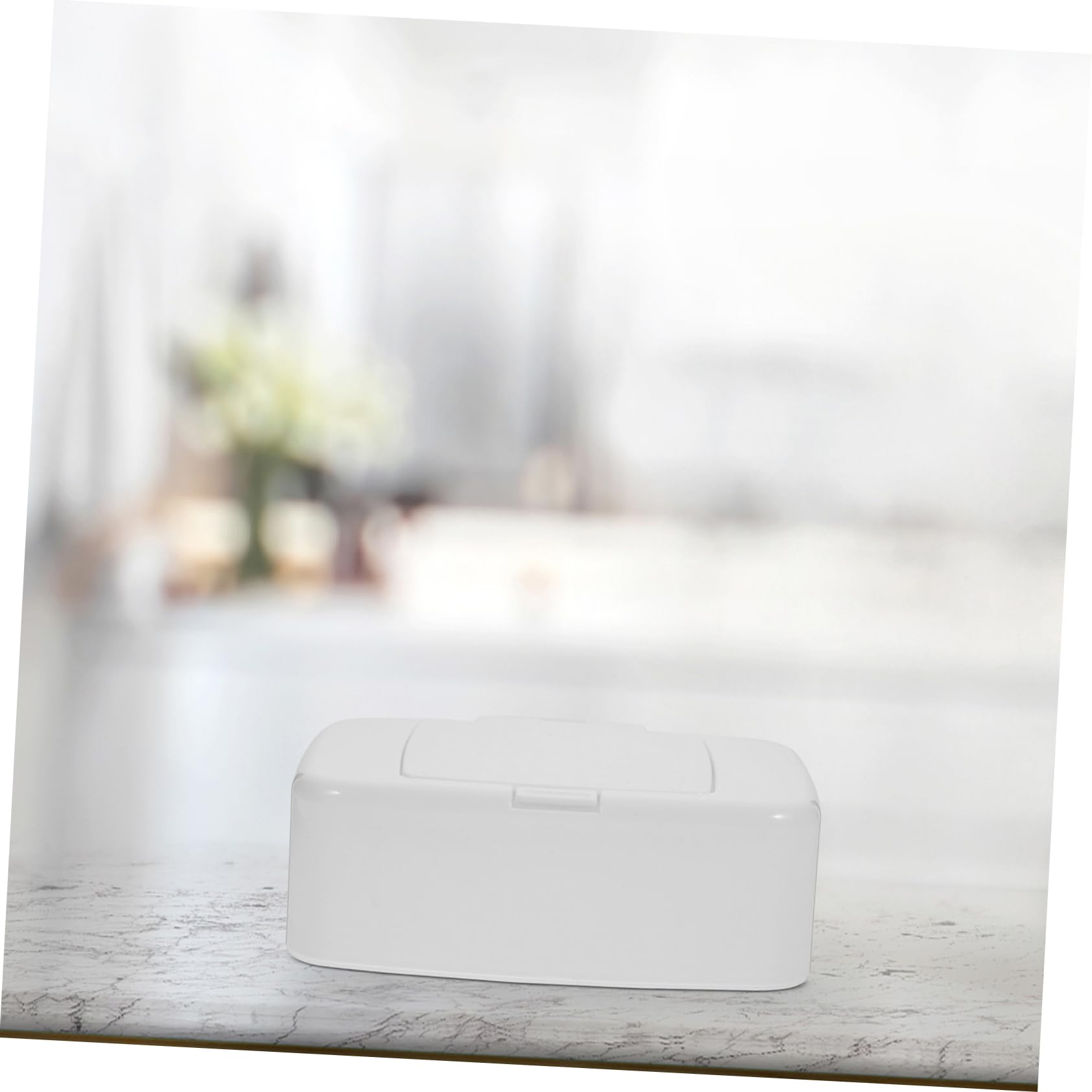 SOLUSTRE 2Pcs Refillable Wipe Dispenser with Lid Compact Tissue Storage Box for Makeup Remover and Lightweight and Design for Home and Travel