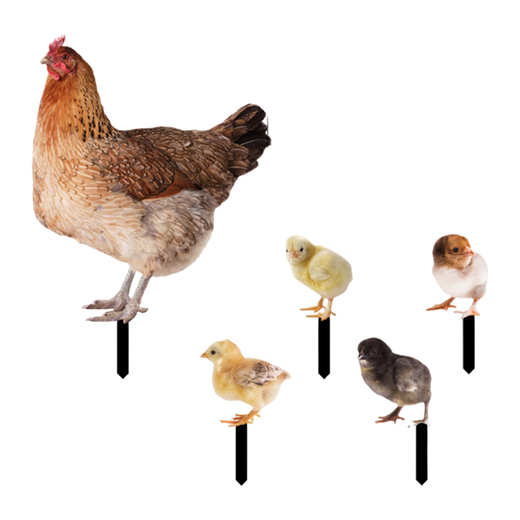 Pesoncarl Chicken Garden Stake Acrylic Garden Chicken Statues Outdoor Yard Decoration Yard Art for Lawn Decor