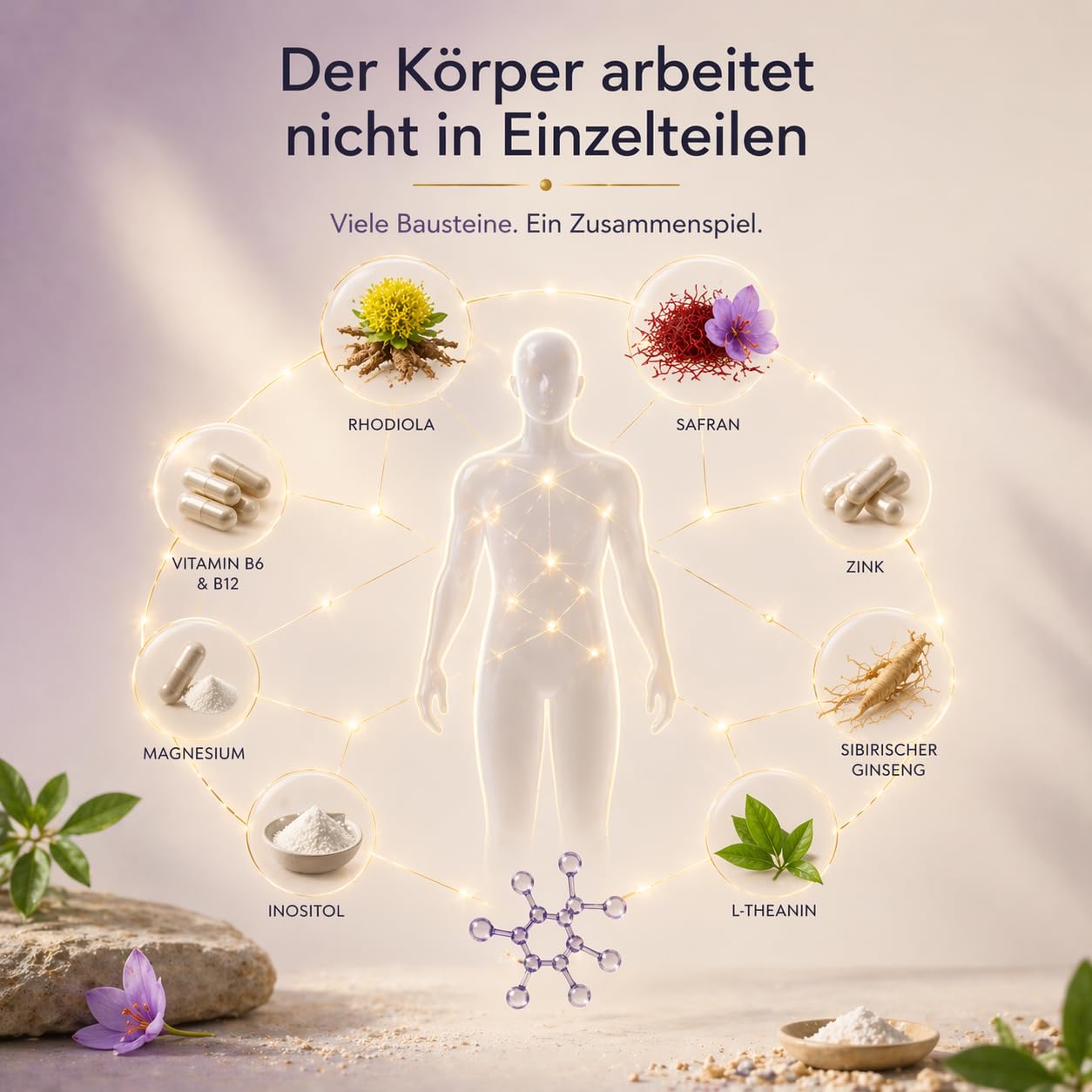 Basis 3 Nervenfreund Adaptogene Komplex: L-Theanin Rhodiola Safran | Inositol & Sibirischer Ginseng Magnesium & Vitamin B6, B12 für Nervensystem & Psyche 90 Kapseln