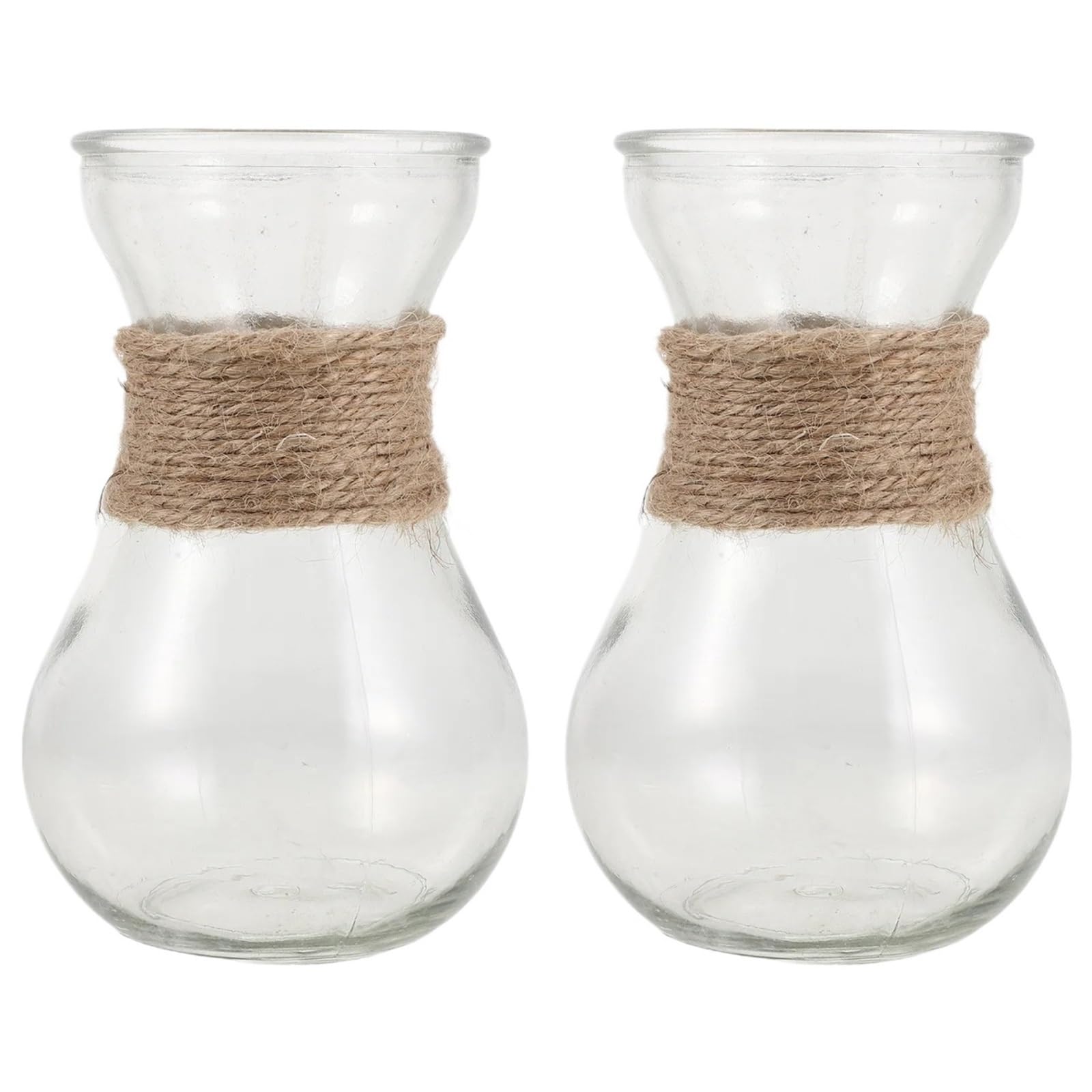 QuxetlRyz Glass Hydroponic Vase 2Pcs Clear Bulb Glass Vases Hydroponic Plant Vase Decorative Flower Planter for Home Office Table Centerpiece Cute Growing
