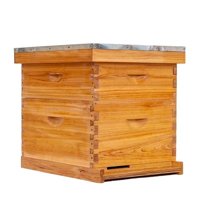 Buy Honey Lake 10Frame Bee Hive 1 Brood Beehive Box and 1 Medium Bee Hive Super Box,Bee Hives