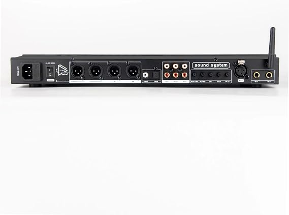 Digital Effector Professional Digital Audio Echo Pre-Effects DSP Processor Built-in Audio Processor Bluetooth USB App Recording Studio