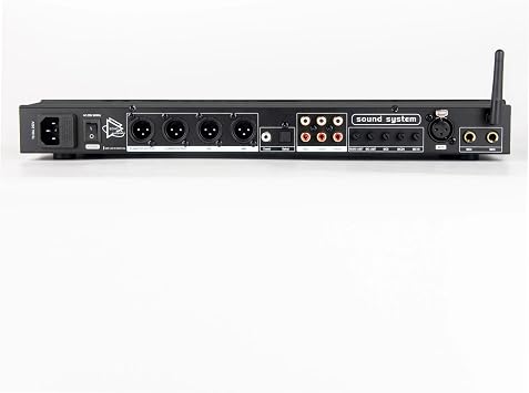 Digital Effector Professional Digital Audio Echo Pre-Effects DSP Processor Built-in Audio Processor Bluetooth USB App Recording Studio