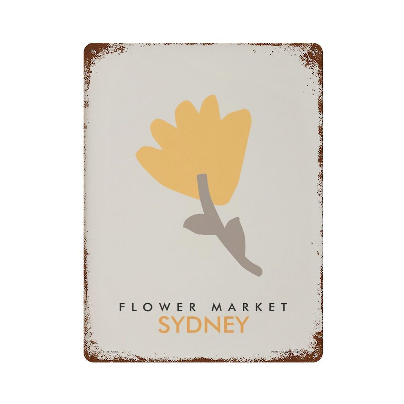 xiaoxiaoshen Sydney Flower Market Pastel Floral Wall Decor Art Metal Tin Poster Modern Home Decor Art Home Bar Shop Decorations Vintage Sign 40x30cm