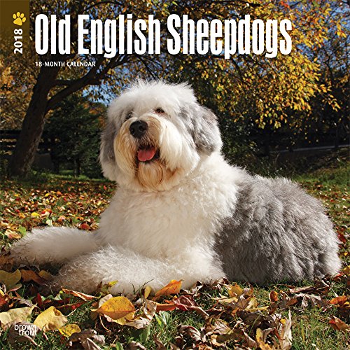 Old English Sheepdogs 2018 Calendar