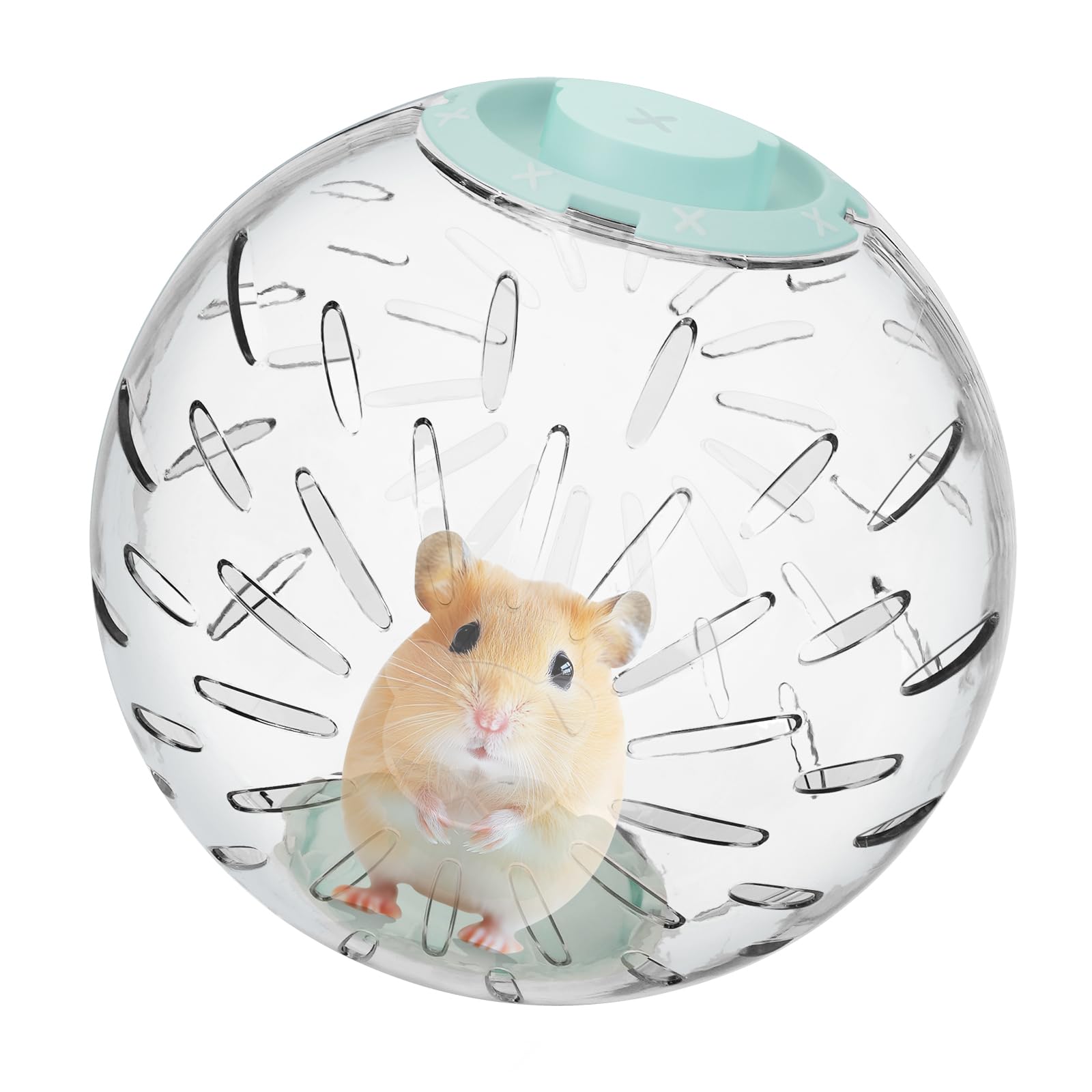 7.9 inch Hamster Ball, Exercise Toys, Running Clear Plastic Balls, Large Space, Easy to Clean, Portable Cage, for Small and Medium Hamsters, Syrian Dwarf Hamster, Green