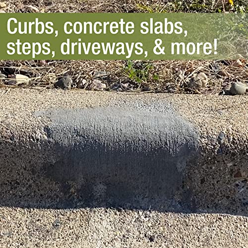 Rapid Patch Concrete Repair Mortar - Patch & Repair for Sidewalks, Driveways, & Curbs, Fast-Setting, Exterior (20 Pound, 1)