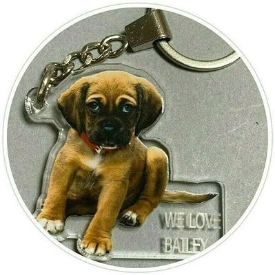 Your Own Picture Photo UV Printed Double Sided With Your Name Key Chain Ring Keyrings Photograph Pets, Family Friends Love Ones Gifts Keychains Personalized Free Engraved Names Custom