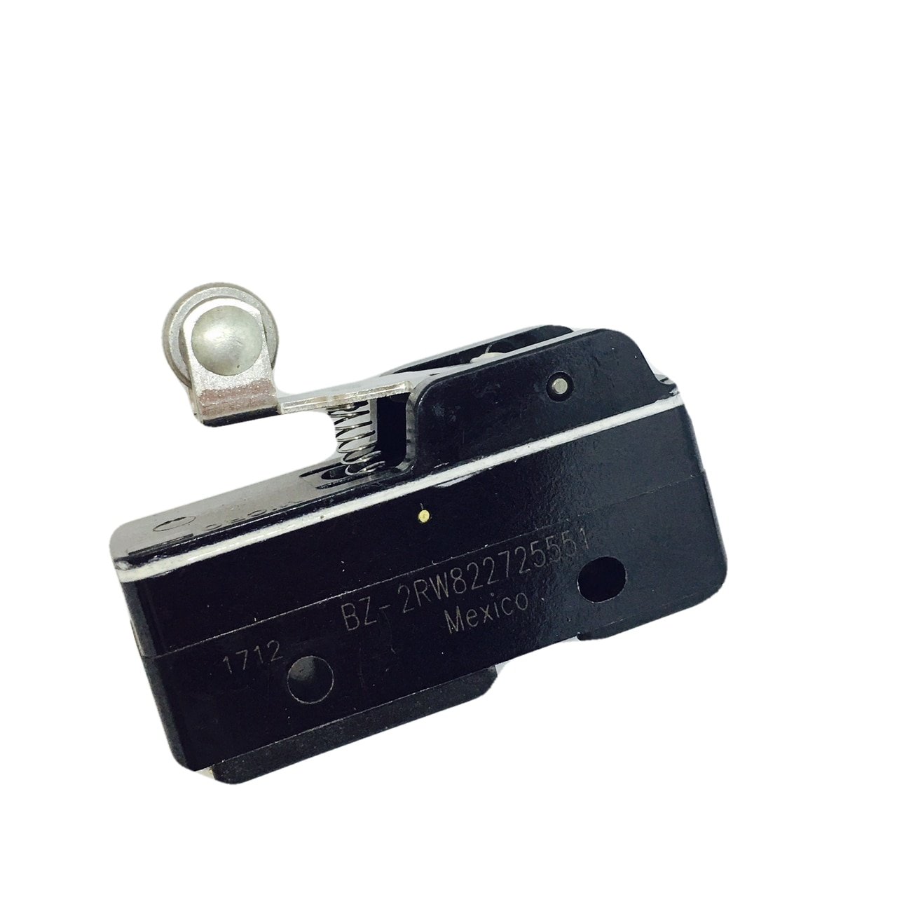 BZ-2RW822725551 Large Basic Snap Action Switch