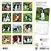 English Springer Spaniels 2019 Calendar