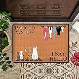 USO VERSÁTIL: la alfombra es ideal para la decoración del hogar, que se puede utilizar como alfombrillas de baño, alfombras de bienvenida para interiores, alfombras para el hogar, se puede colocar en el dormitorio, la puerta trasera, la sala de estar, la oficina, etc. No es solo un felpudo, es una alfombra interior que puedes colocar arbitrariamente, mantén tus pisos más limpios por más tiempo, Póngalo en la habitación y sus vecinos seguramente elogiarán su belleza.