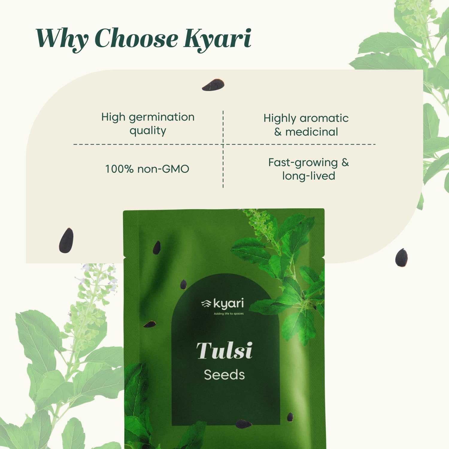 Kyari Tulsi Seeds - Holy Basil Herb Seeds -5