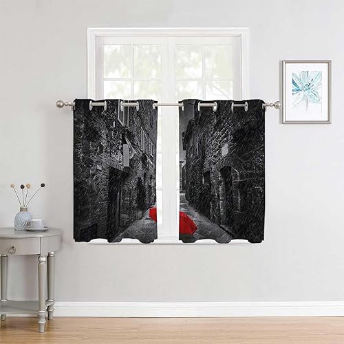 Room Darkening Curtains for Bedroom Black and White Grommet Short Curtain for Closet Without Door Cortinas para Ventanas De Cuarto 55Inch Width by