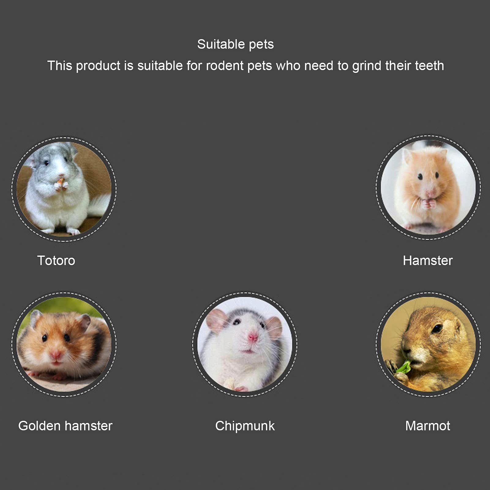 Beufee 200G Chew Sticks Pet Chew Toy for Chinchilla Hamster Sticks Small Animals Wood Toys Rabbit Hamster Sticks Guinea Pig Molar Teeth Toy for Squirrels Parrots - Image 4