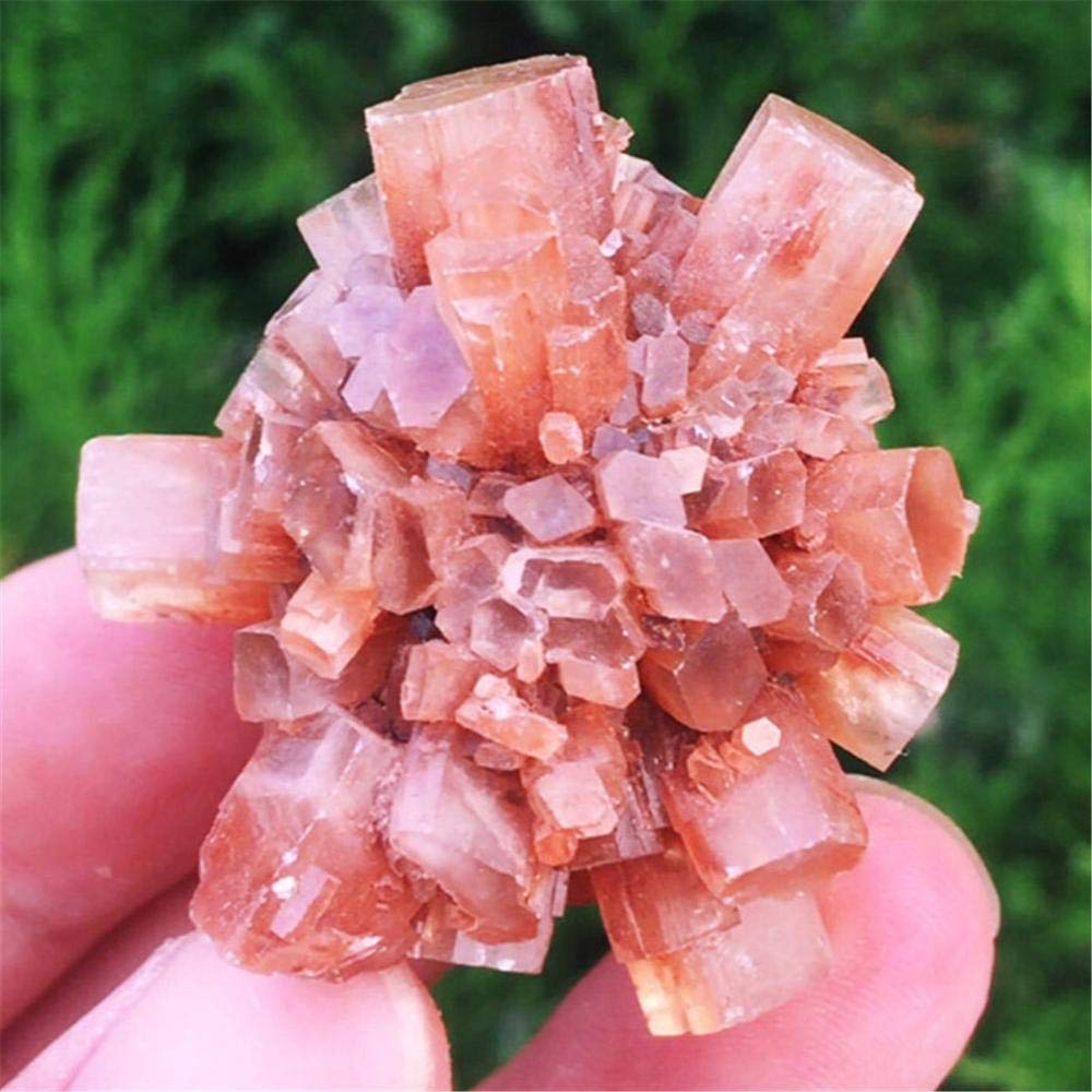 PAKMEZ Cluster di Cristalli Naturali di Aragonite Cristalli Naturali e Grezzi Irregolari -