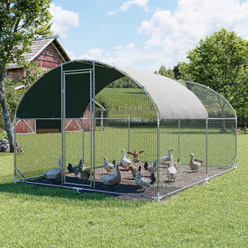 Polar Aurora Large Metal Coop