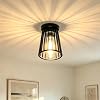 EBION Ceiling Light,Modern Chandelier Indoor Outdoor Ceiling Lighting Fixtures E27,Industrial Semi Flush Mount Outside Ceiling Lamp for Living Room,Hallway,Balcony,Porch,Black,Bulbs Not Included [Energy Class A]