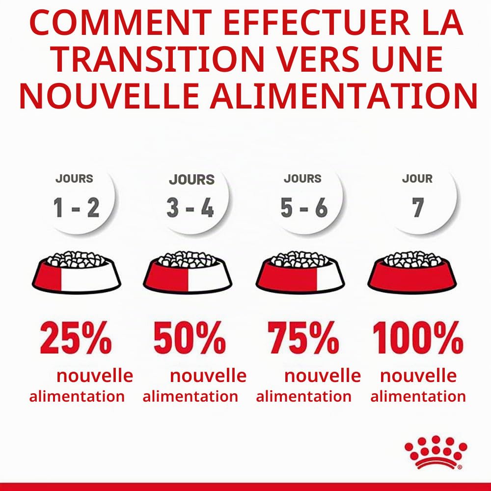 Royal Canin DIGESTIVE CARE pour chats | Pack de 4 | 4 x 400 g | Croquettes pour chats | Peut aider à soutenir une digestion saine