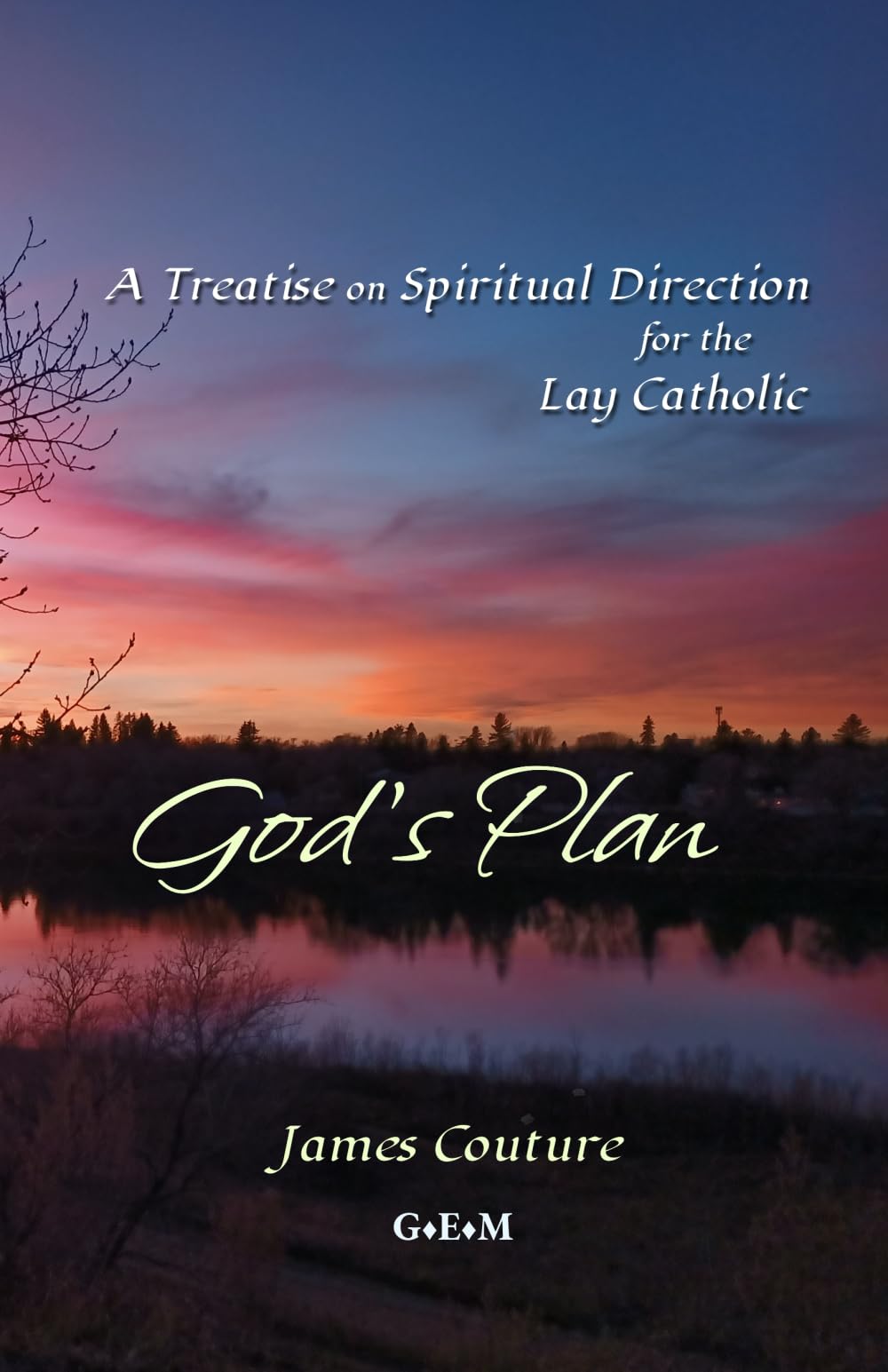 God's Plan: A Treatise on Spiritual Direction for the Lay Catholic