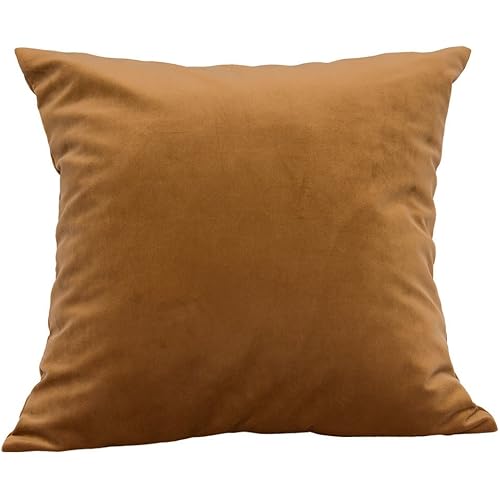 TangDepot Solid Velvet Throw Pillow Cover/Euro Sham/Cushion Sham, Super Luxury Soft Pillow Cases, Many Color & Size Options - (12"x12", Coco)