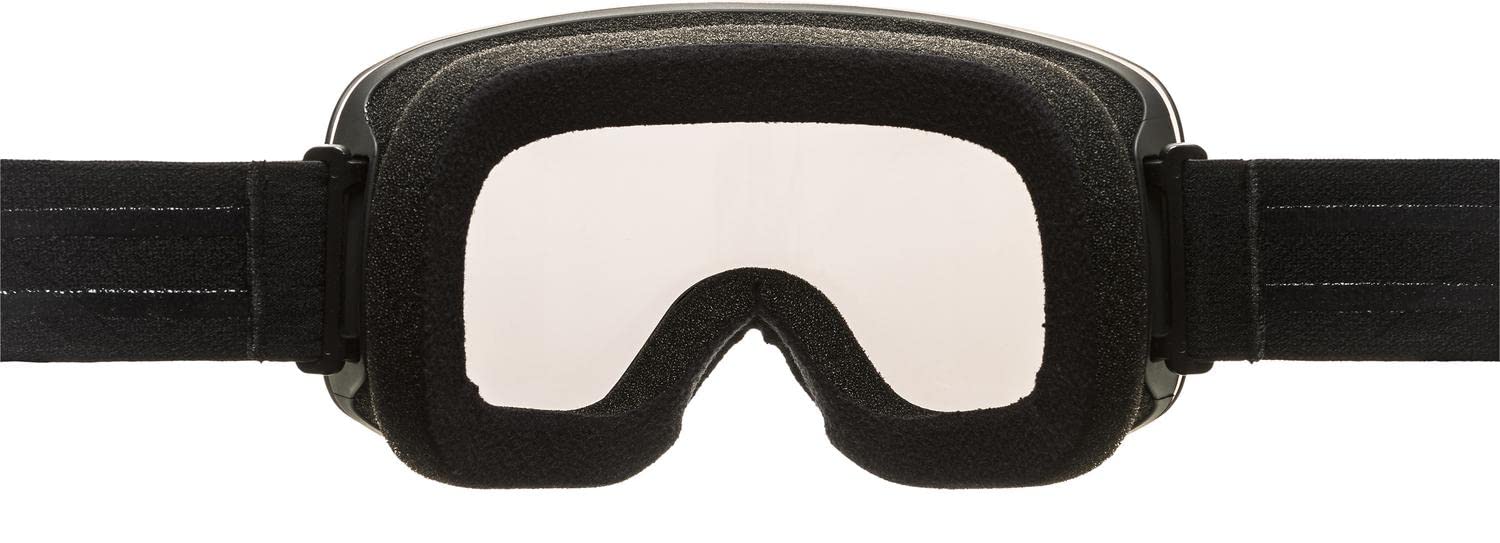 ALPINA Penken Occhiali da sci Unisex - Adulto (Pacco da 1)