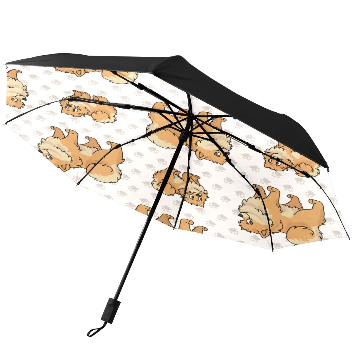 CLAYU Automatic Folding Umbrella,Cute Pomeranian Puppy Dog Waterproof Compact Sun & Rain Travel Umbrellas