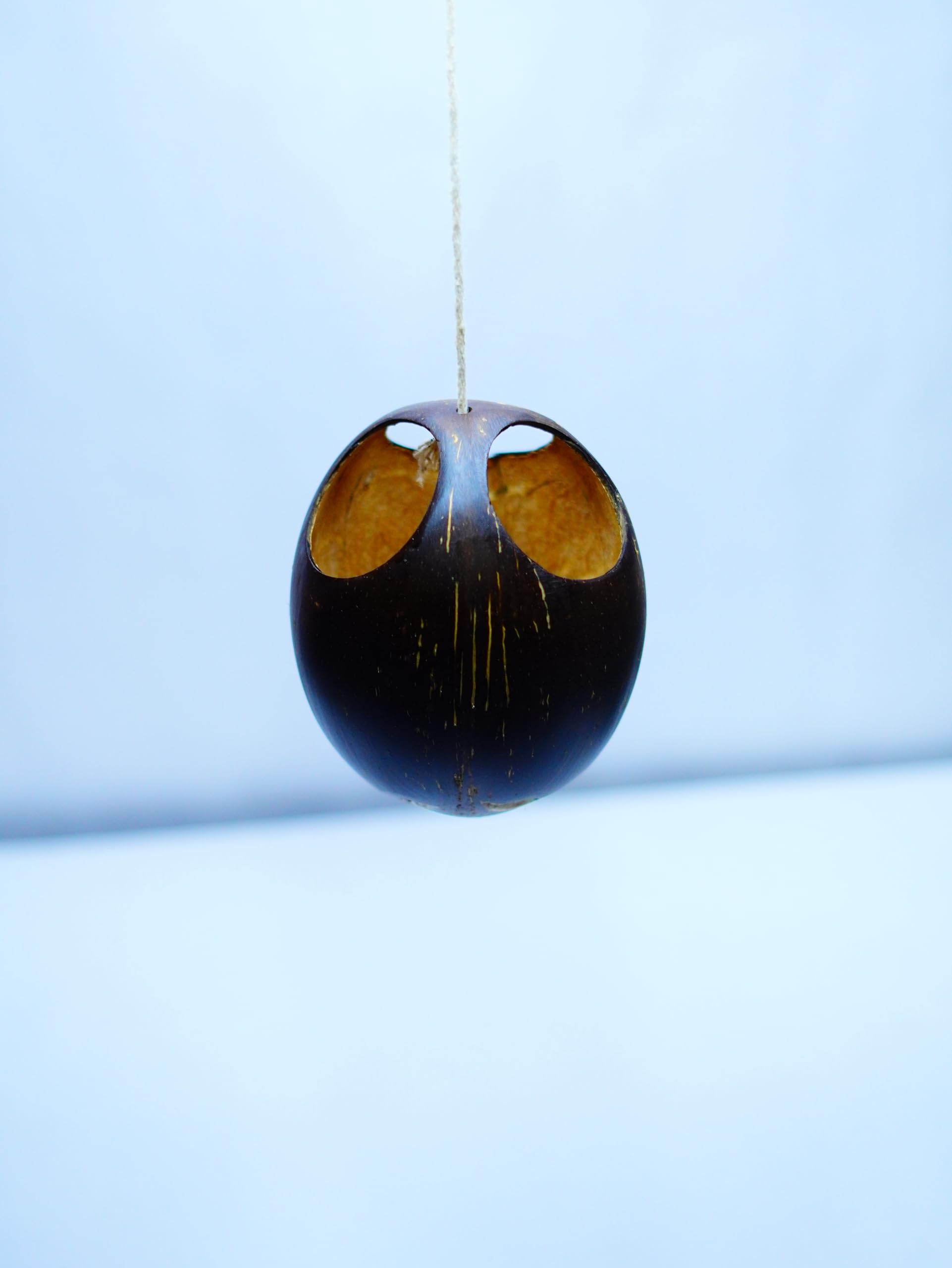 COCO CRAFTERS Hanging Brown Pot Type 1 (Set of 2) | Handcrafted Coconut Shell Craft - Eco-Friendly Artisan Lighting