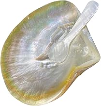 LALAFINA 1 Conjunto De Talheres De Concha Bandeja De Lanche Bandejas De Sobremesa Bandejas Para Comida Louça De Cupcake Conjunto De Pratos De Concha Pratos Delicados Pratos De Concha