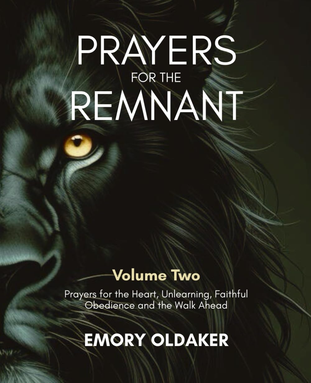 Prayers for the Remnant - Volume Two: Prayers for the Heart, Unlearning, Faithful Obedience and the Walk Ahead