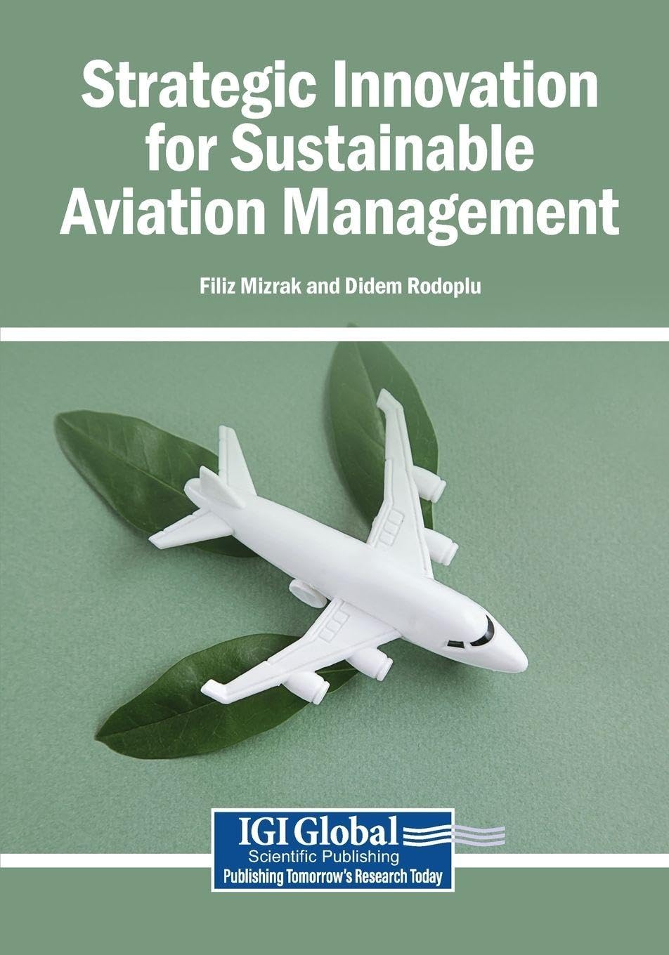 Strategic Innovation for Sustainable Aviation Management