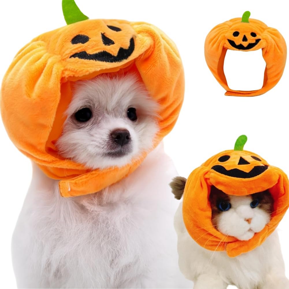 編みぐるみ♡ハロウィン♡おばけ帽子♡かぼちゃ帽子♡ダックス♡トイ 