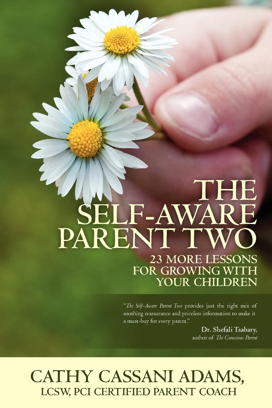 The Self-Aware Parent Two: 23 More Lessons for Growing with Your Children