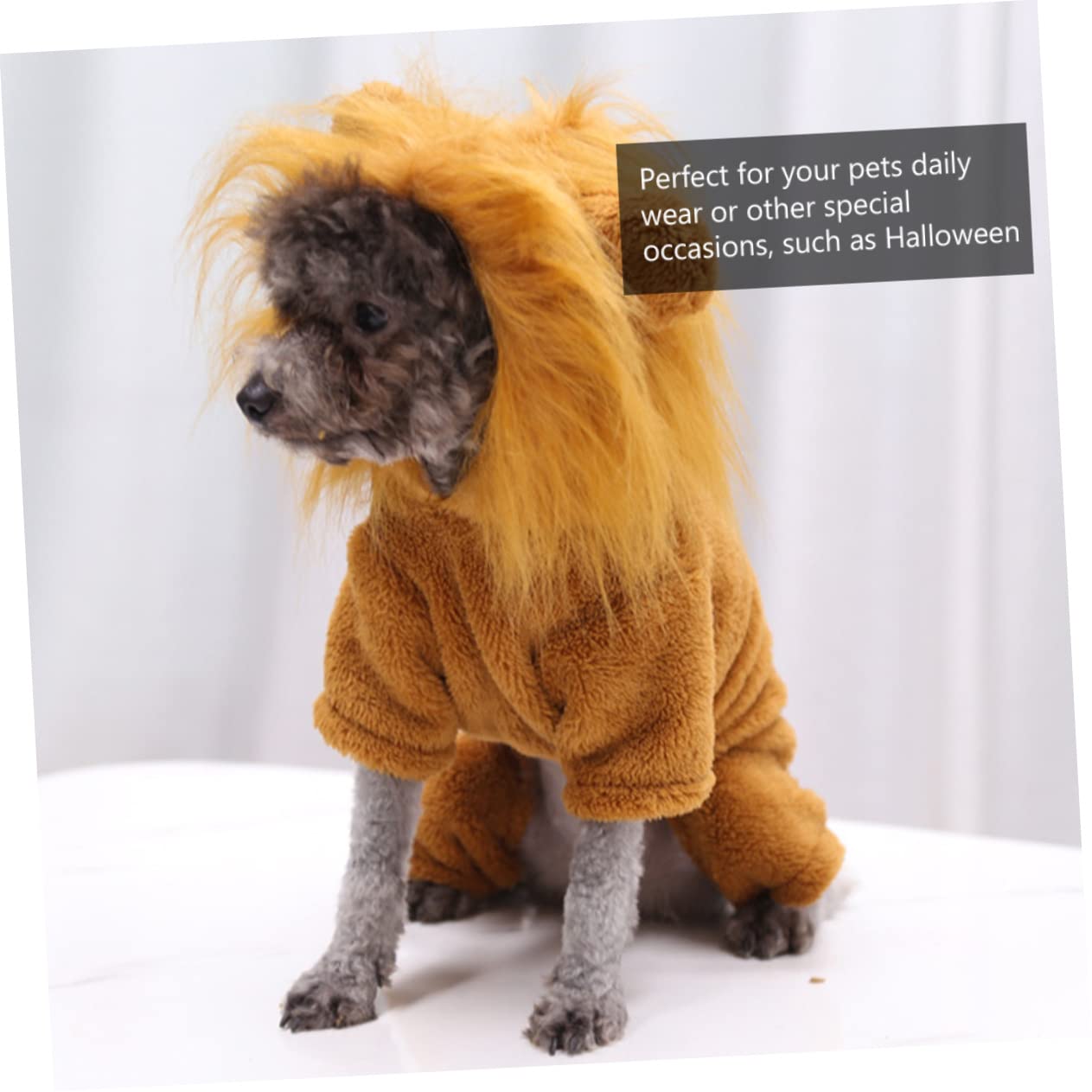 BESPORTBLE 3piezas Disfraz De para Mascotas De Ropa De Halloween para Perros y Gatos Traje Divertido para Actividades