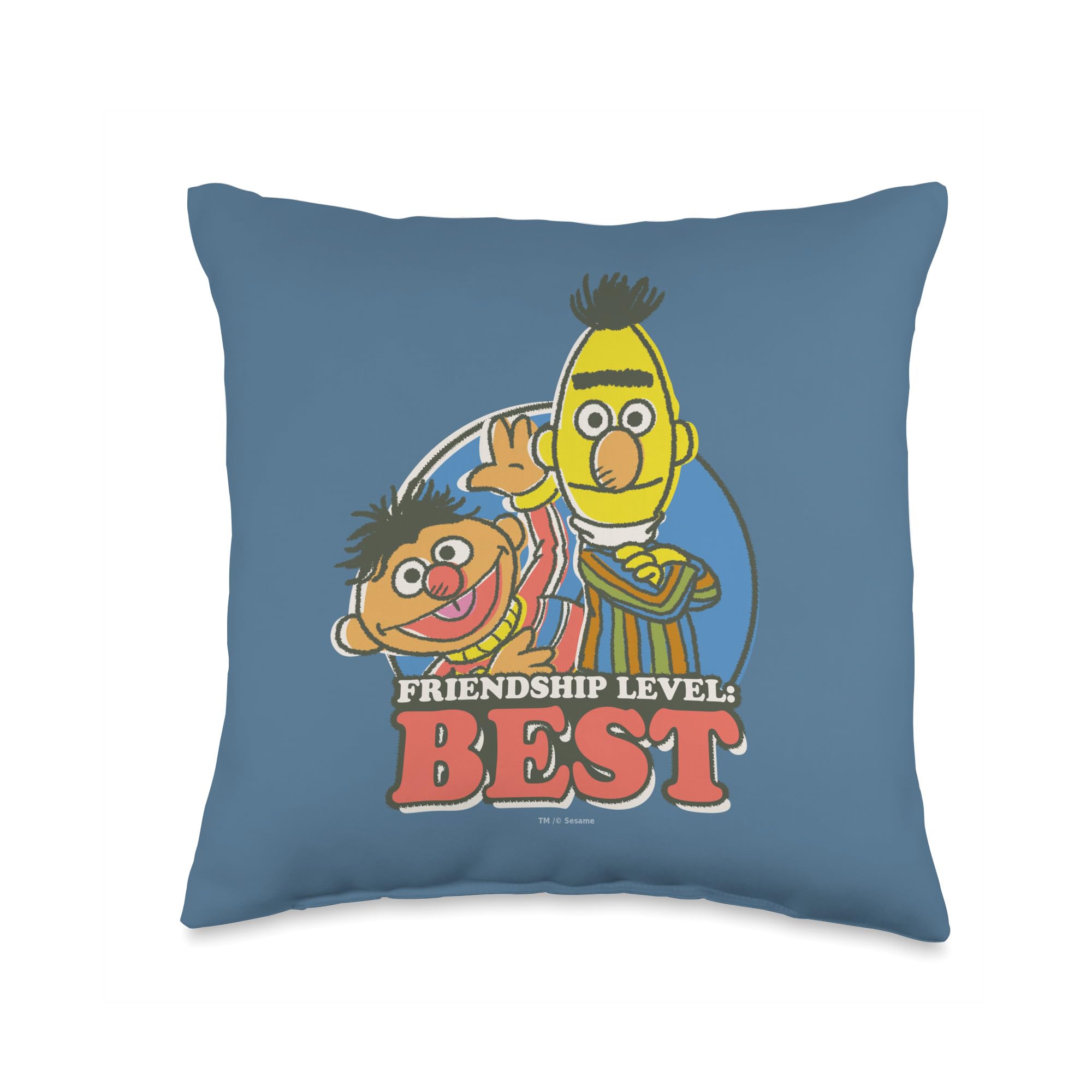 Coussin Sesame Street Bert & Ernie le cadeau d'anniversaire retro parfait