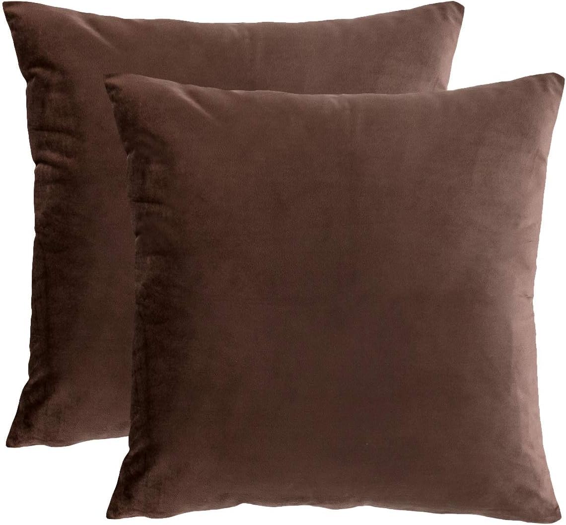 RainRoad Brown Throw Pillows Covers Cushions Set of 2 Soft Velvet Decorative Pillow Covers 20x20 Inch for Couch Bed(Brown-Velvet, 20'' x 20''(2pcs))