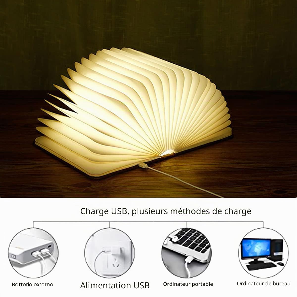Lampe Livre LED Pliable en Bois, Veilleuse et Lampe de Chevet Rechargeable USB Multicolore, Lampe d’Ambiance, Idée Cadeau Originale pour Noël, Anniversaire, Homme, Femme et Enfant
