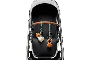 SmakFun Plate - Premium Toy Straps for Babies & Toddlers: Keeping Pacifiers,...