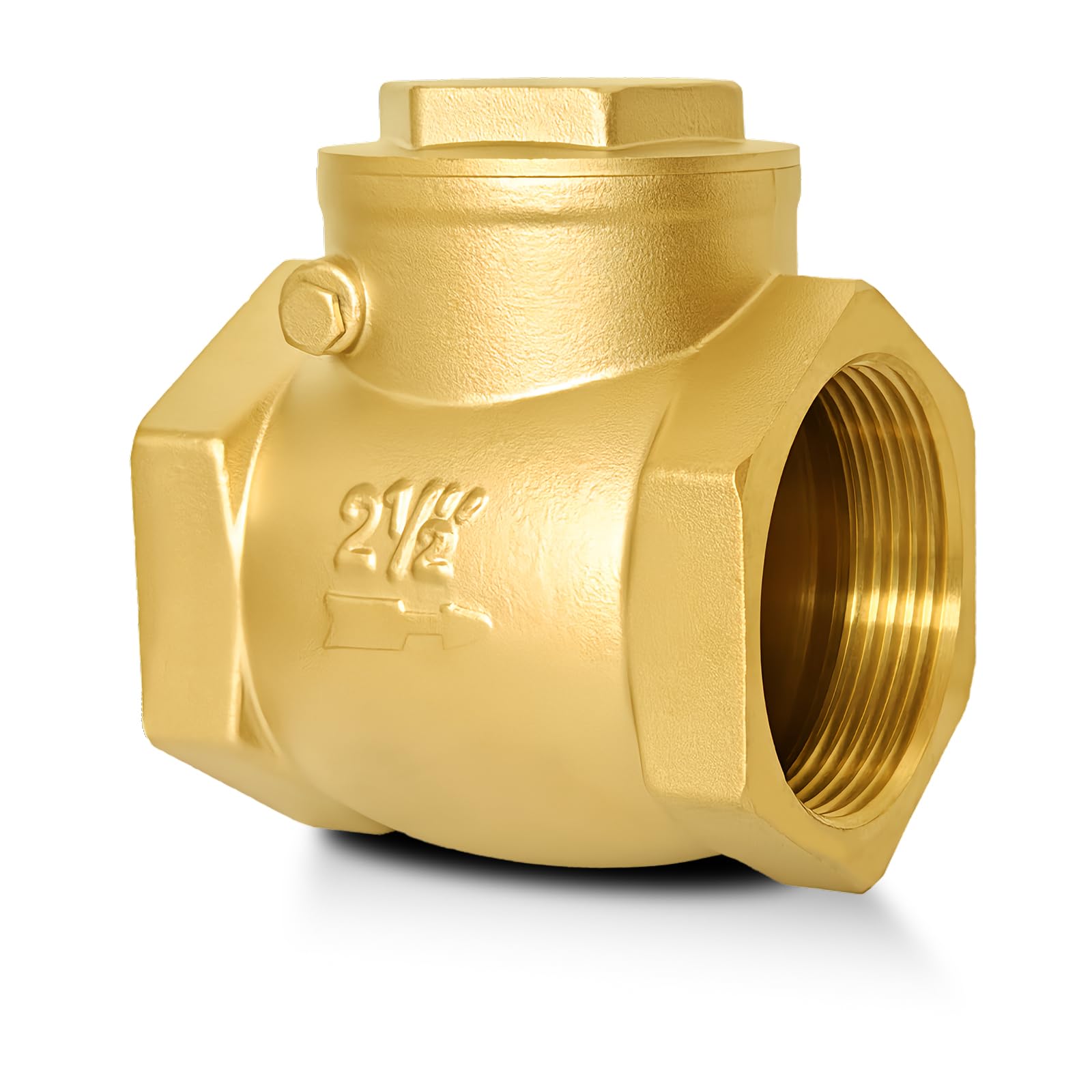 2-1/2" NPT Horizontal Check Valve, Brass Non Return Swing Check Valve to Prevent Water Backflow, Level One Way Counterflow Valve to Prevent the Medium Backflow for Oil Water Gas Air(2-1/2", DN65)