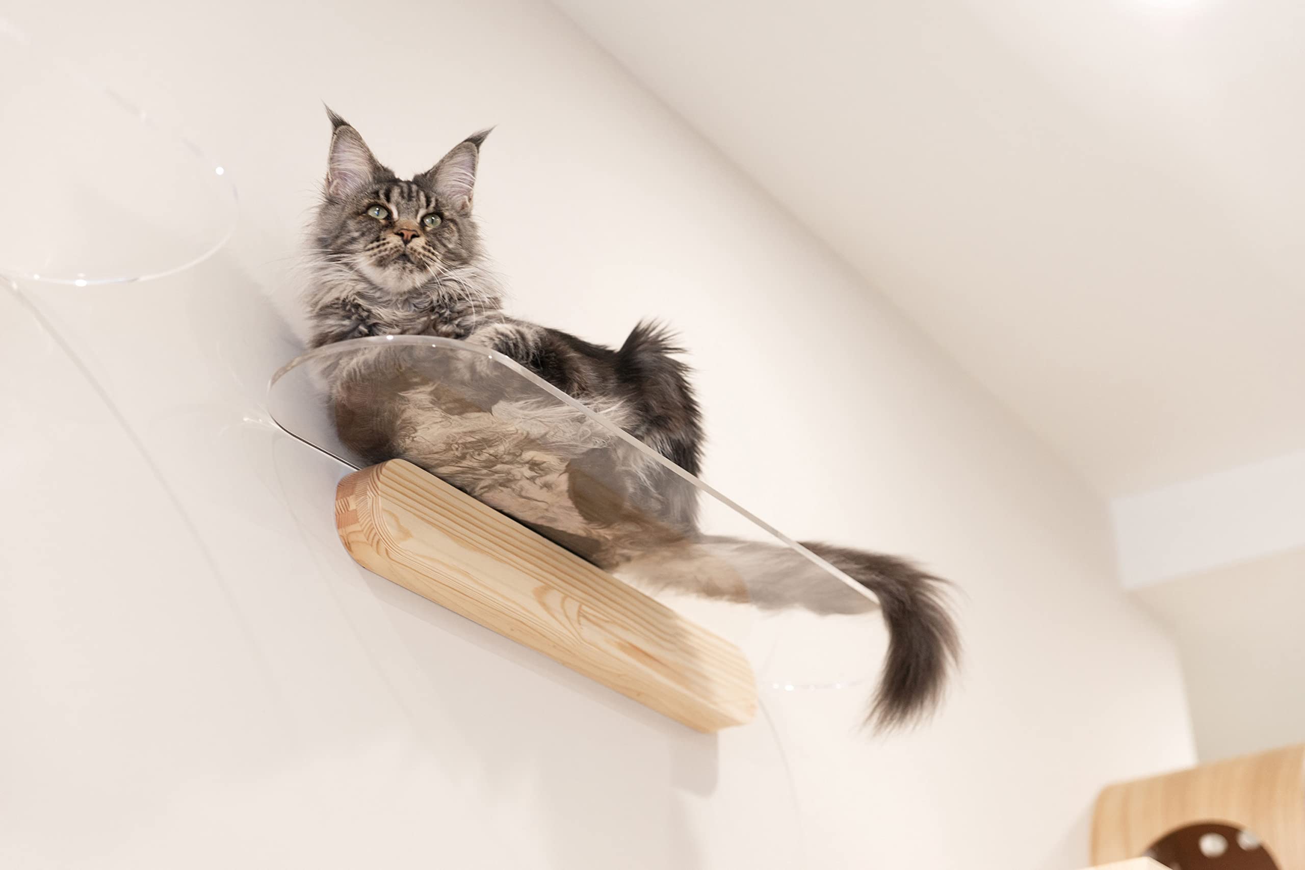 Amazon | MYZOO-OBLONG キャットステップ 壁付けタイプ [ネジが見え  