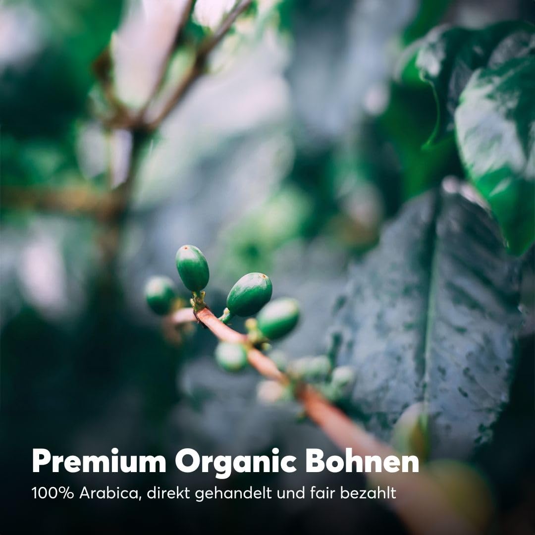 No Coffee® – Premium Decaf Coffee Bio (ganze Bohnen ohne Koffein, 500g) | Mit Wasser entkoffeinierte Kaffeebohnen | Koffeinfreier Kaffee schmeckt wie dein Lieblingskaffee | Kaffeebohnen koffeinfrei