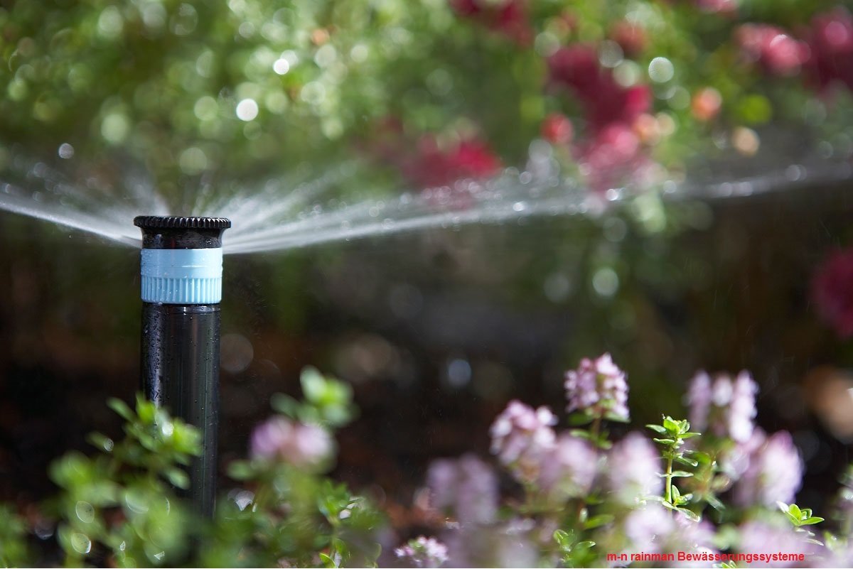 Alloggiamento Ugelli Spray Hunter Pro Irrigatore - Tipo PRS30 - Foto 3