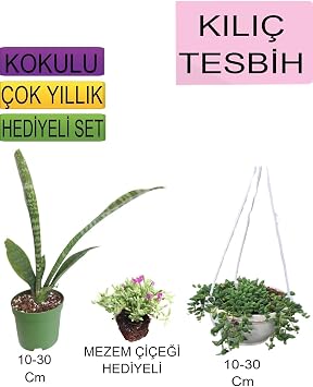3L  Set K l  Bitkisi, Ask l  Saks l  Tesbih, Mezem  i e i Hediyeli