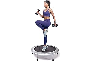 Little Trampoline - The Bounce of Joy