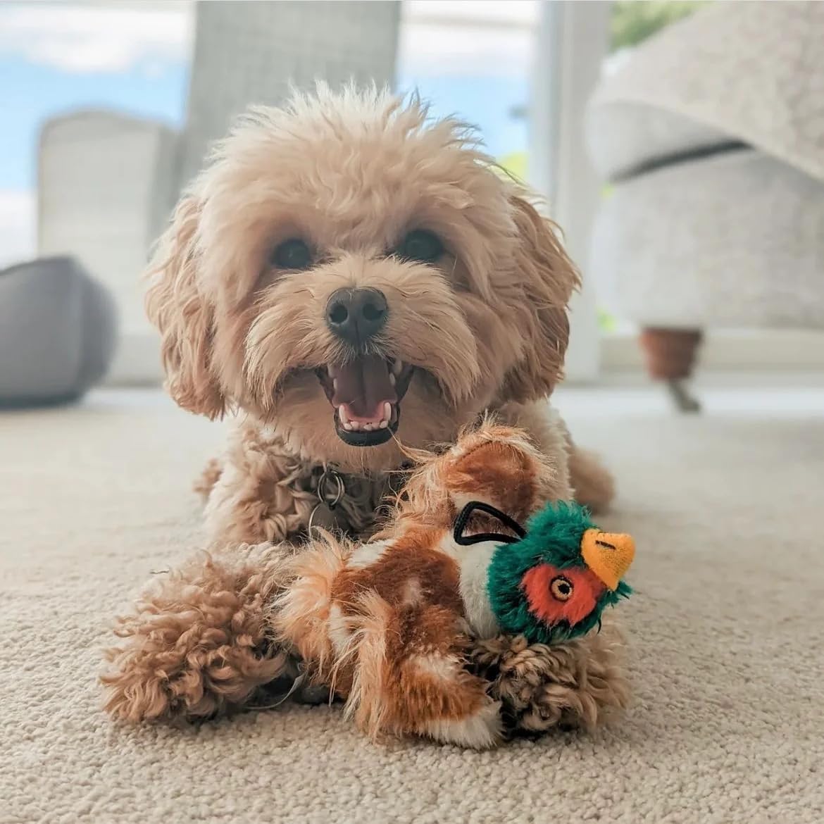 Plush Pheasant, Small
