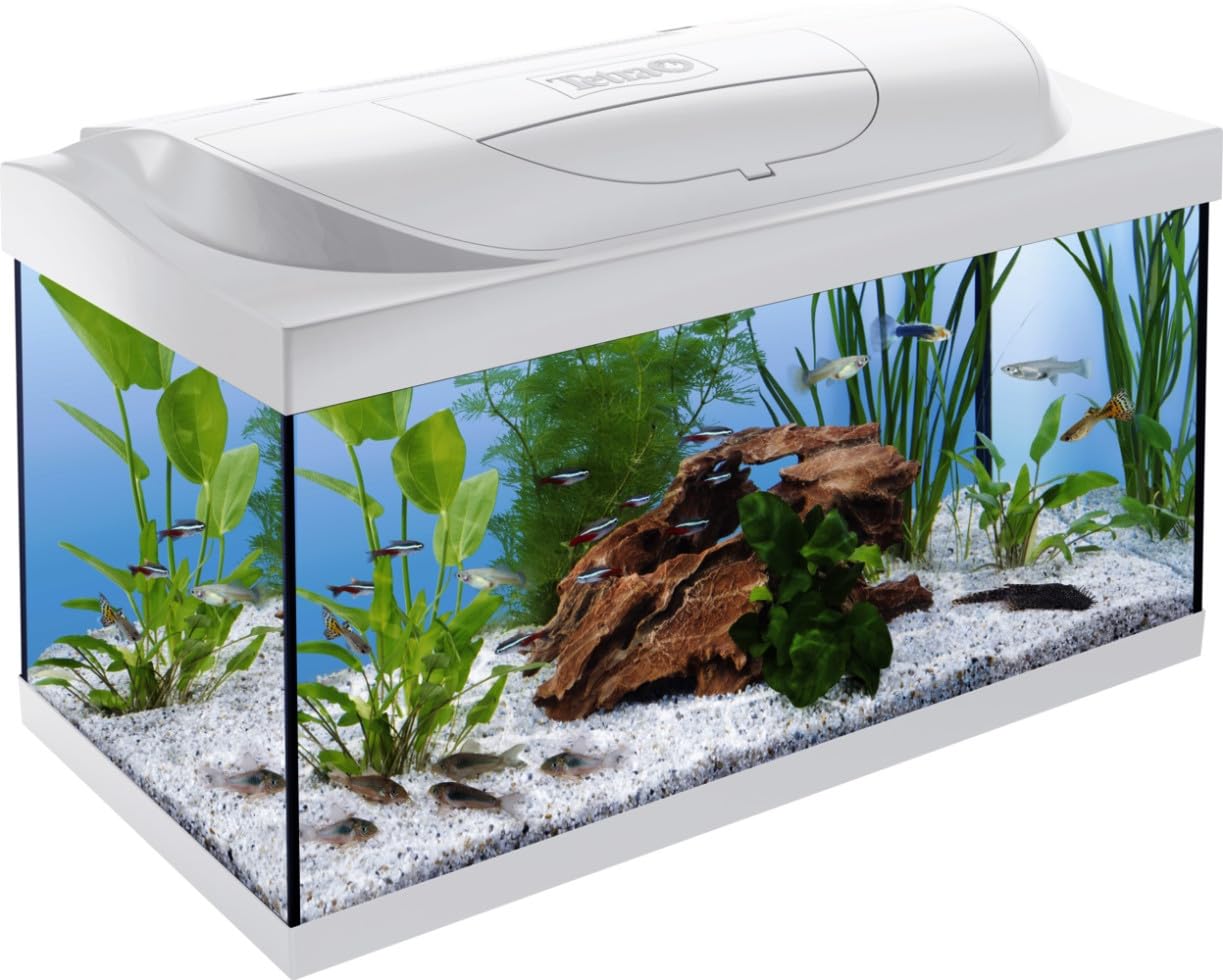 Tetra Starter Line LED White 54L