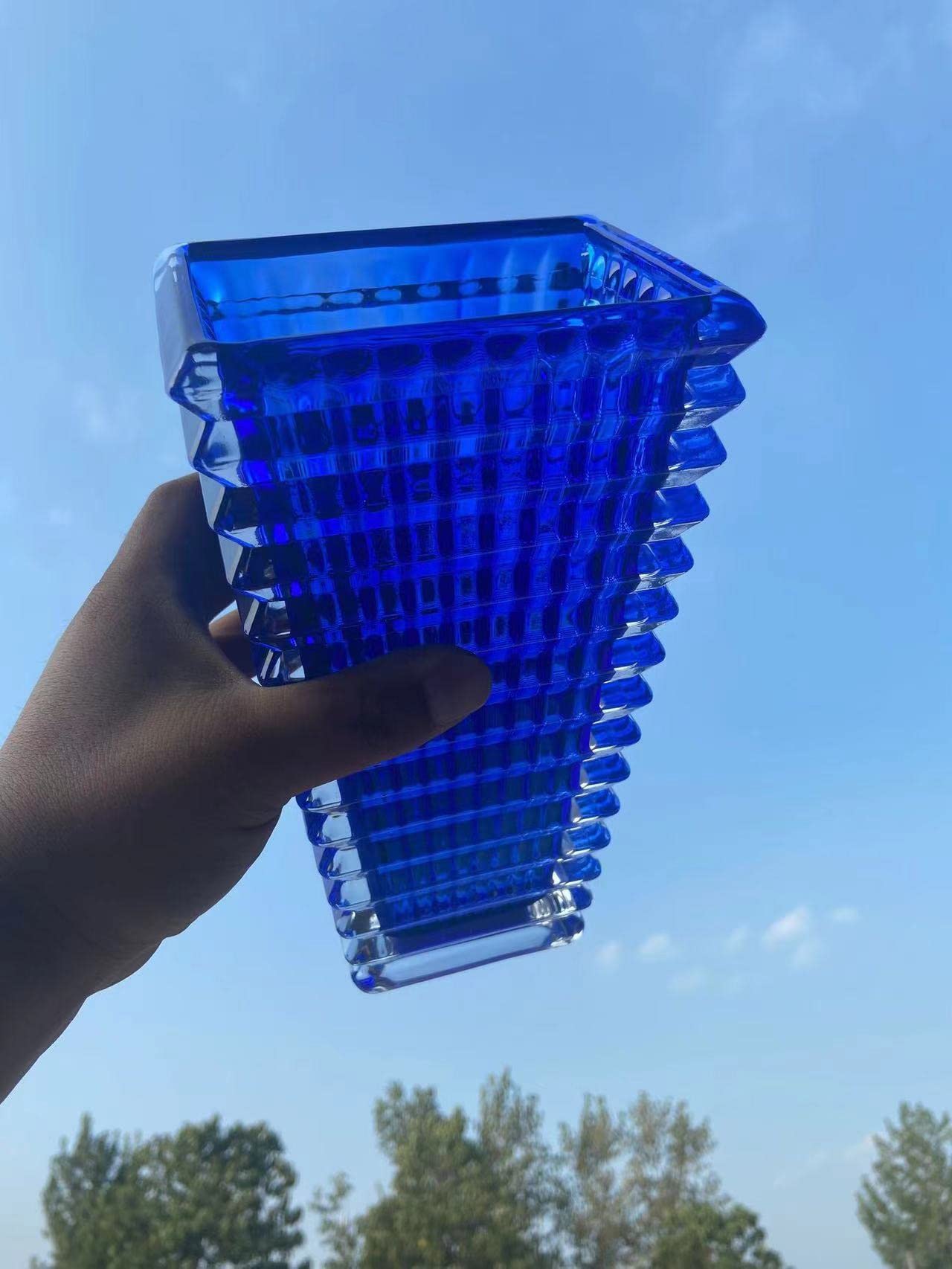 Thicken Crystal Vase Glass, Transparent Water Flower Lily Plant Vase, Living Room Table Flower Arrangement Vase, Blue